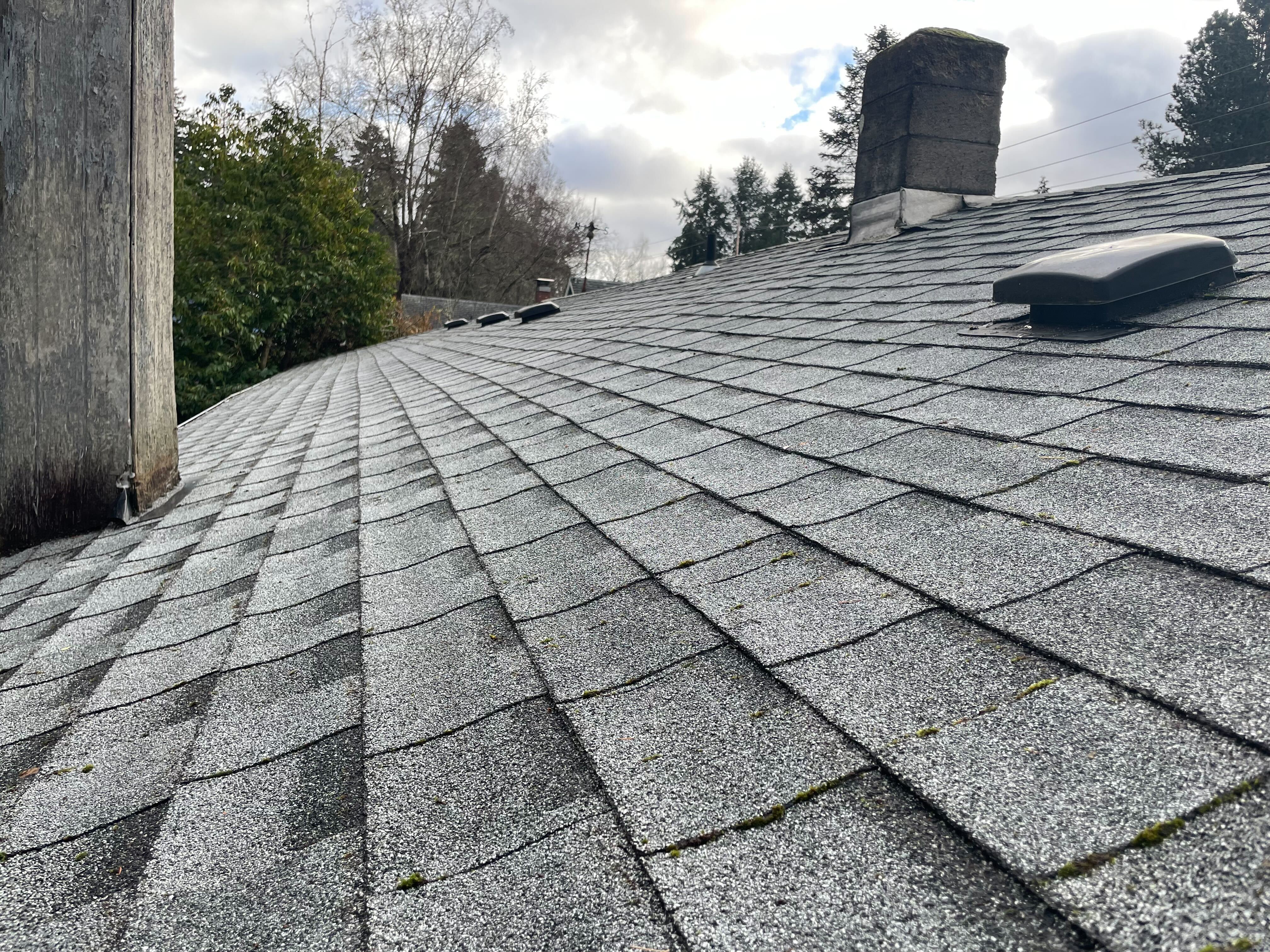 Roof after cleaning
