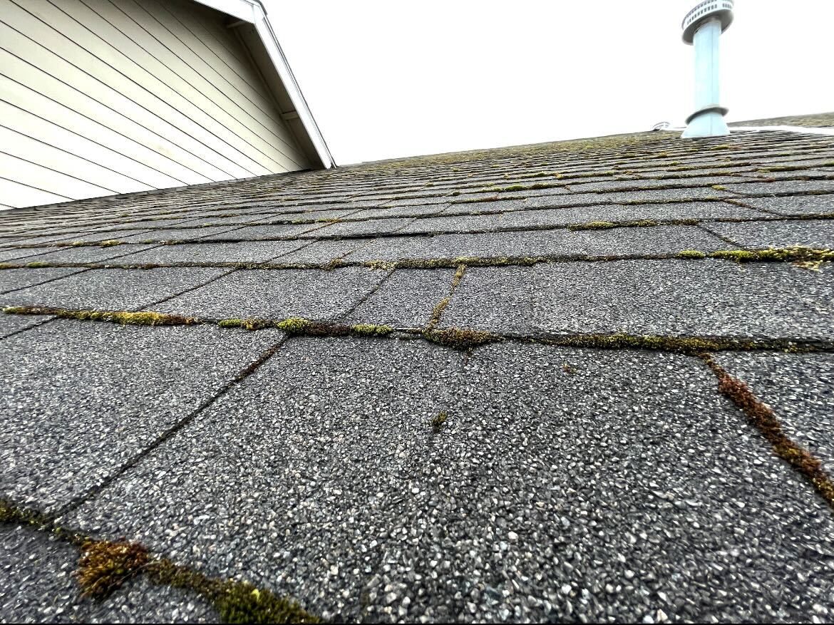 Roof before cleaning